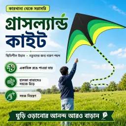 Large Delta Kite — ছবি 2