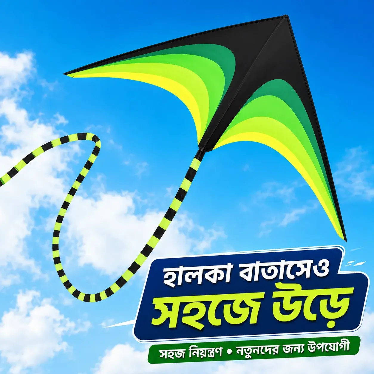 Large Delta Kite — ছবি 3